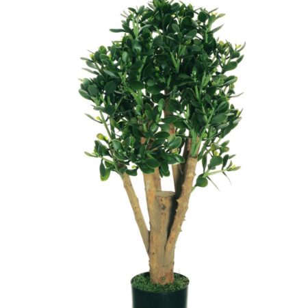 Crassula Ovata 105cm Artificiel Anti-UV