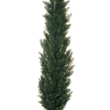 Cyprès 180cm Artificiel Anti-UV