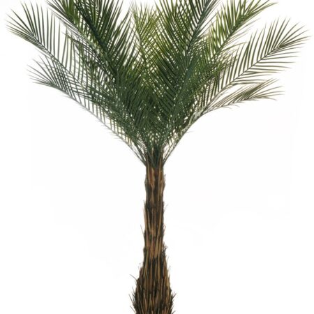 Palmier Phœnix 210cm Artificiel Anti-UV