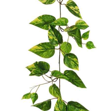 Guirlande Pothos Vert-Jaune 150cm Artificielle Anti-UV