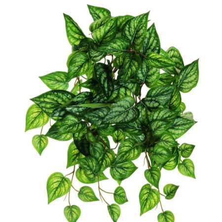 Buisson Suspendu Caladium Crème-Vert 54cm Artificiel Anti-UV
