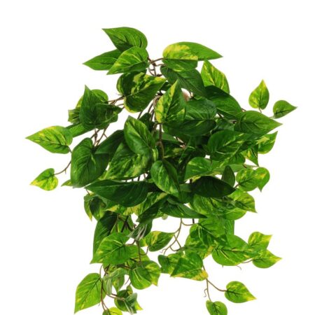 Buisson Suspendu Pothos Vert-Jaune 52cm Artificiel Anti-UV