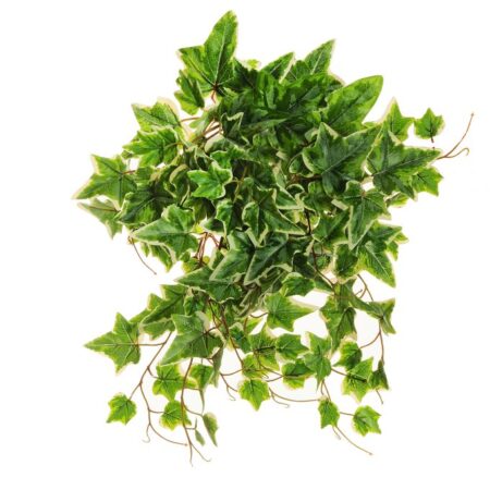 Buisson Suspendu Lierre Panaché 56cm Artificiel Anti-UV