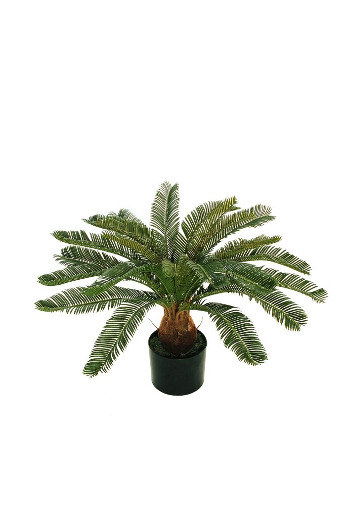 Cycas 60cm Artificiel Anti-UV
