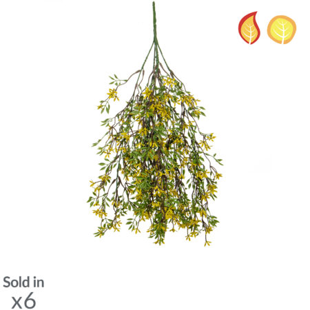 Plante Retombante Fleurs Jaunes Anti-UV 30cm – Trail FR UV