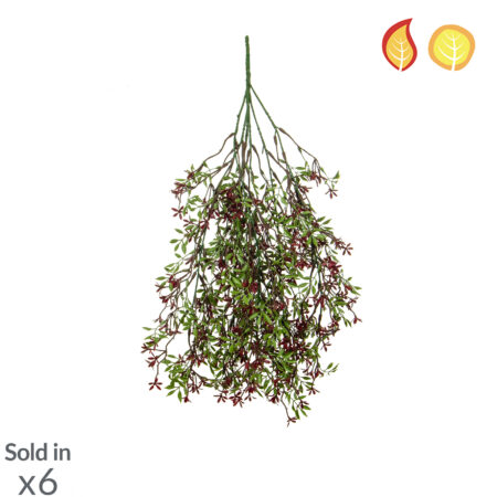 Plante Retombante Fleurs Rouges Anti-UV 30cm – Trail FR UV