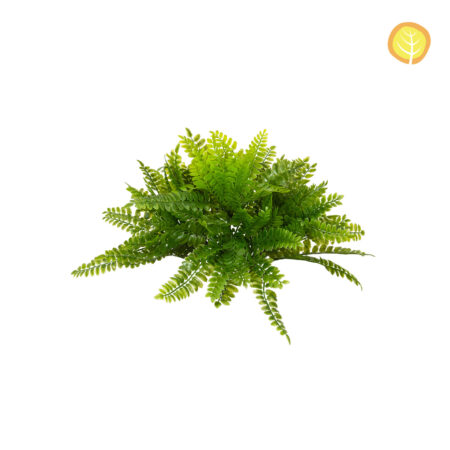 Fougère de Boston Artificielle Anti-UV 23cm – Mini