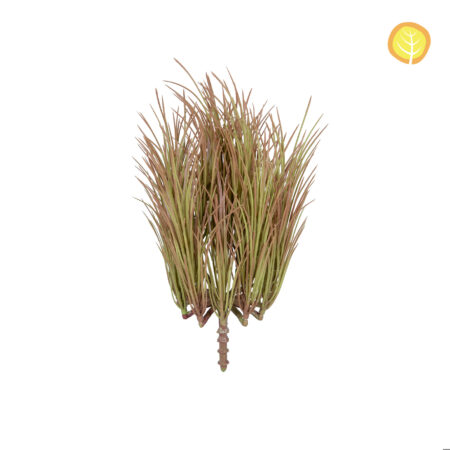 Acorus artificiel anti-UV 30cm