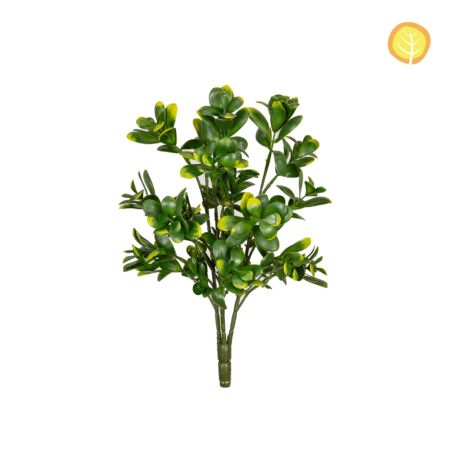 Pittosporum Artificiel Anti-UV 39cm – Vert et Jaune