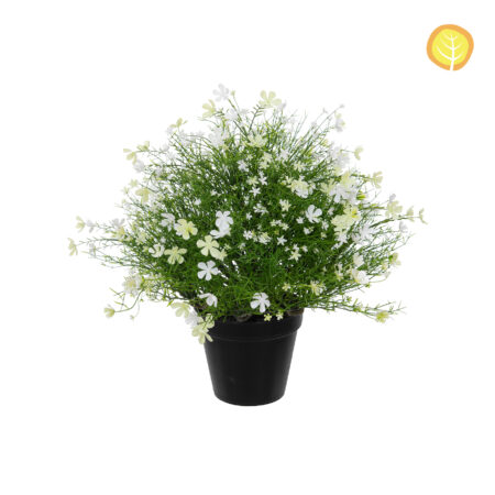 Composition Gypsophile Anti-UV en Pot HL 47cm – Blanc