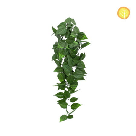 Pothos Retombant Artificiel Anti-UV 75cm – Trail Feuilles Larges