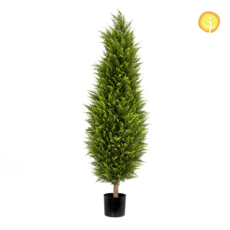 Topiaire Cyprès Anti-UV 150cm – Colonne en Pot