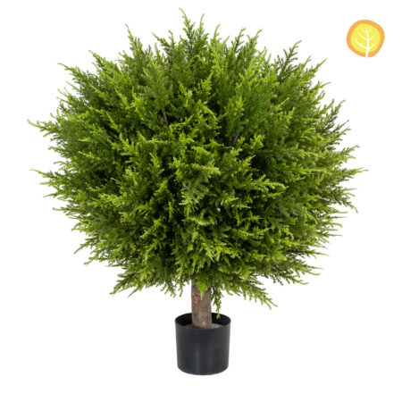 Topiaire Cyprès Anti-UV en Pot 60cm – Boule Bac