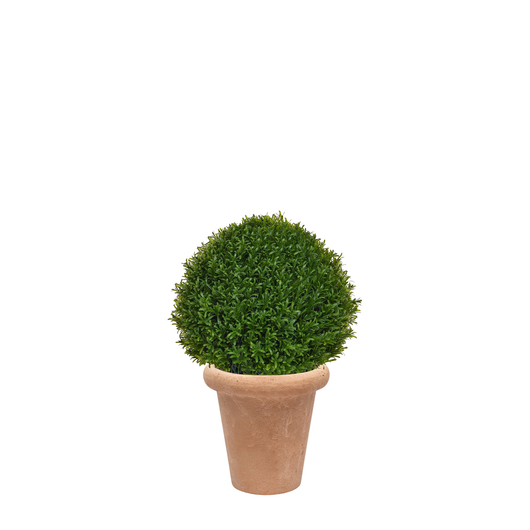 Topiaire Boule Romarin Anti-UV en Bac Ravello