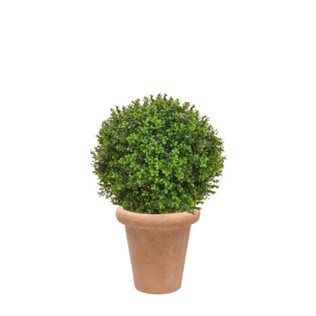 Boule de Buis Anti-UV en Bac Ravello – Grande Boule