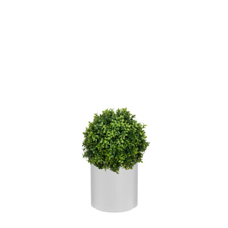 Boule de Buis Anti-UV en Bac Stockholm – Couleur A