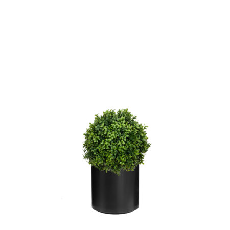 Boule de Buis Anti-UV en Bac Stockholm – Couleur B