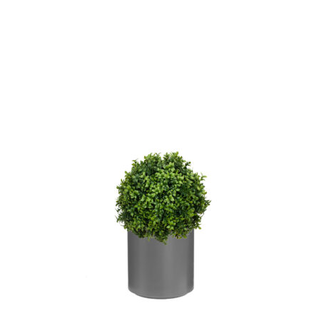 Boule de Buis Anti-UV en Bac Stockholm – Couleur C