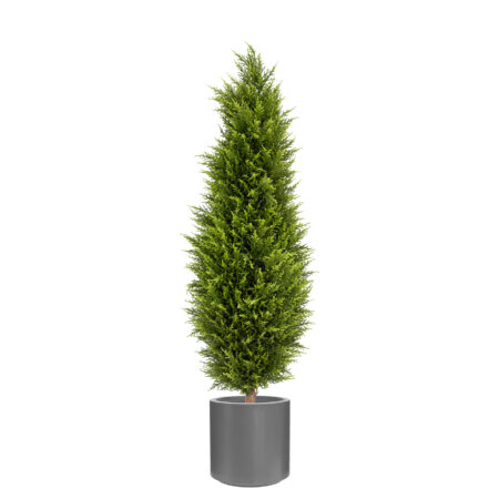 Collection Cyprès Anti-UV en Bac – Modèle A