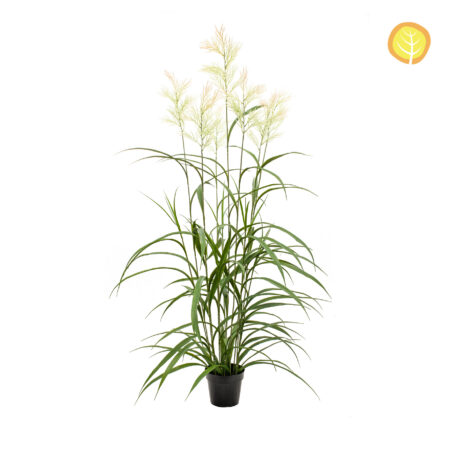 Panicum Virgatum artificiel anti-UV 150cm en pot