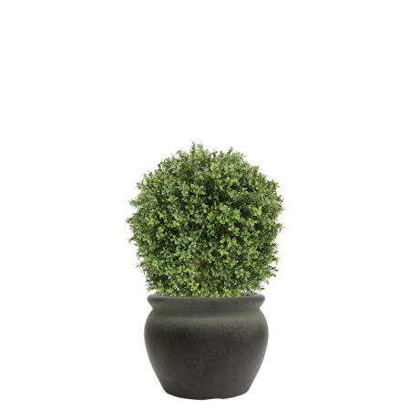 Boule de Buis Anti-UV 70cm – Cragside