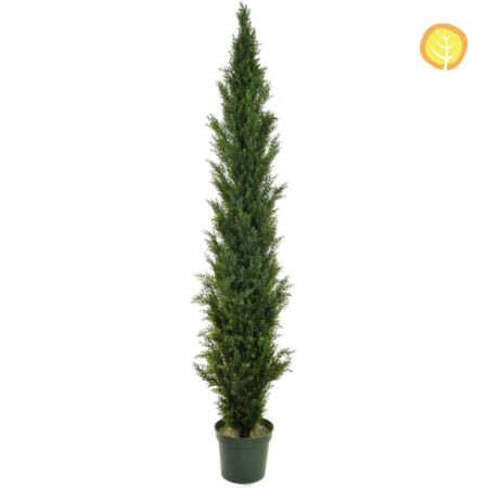 Pin Cèdre Artificiel Anti-UV 210cm – Mini Arbre Topiaire